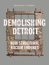 Demolishing Detroit